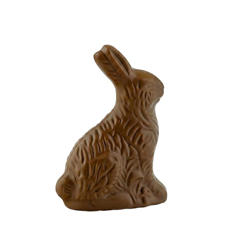Lake Champlain Chocolates Organic Milk Chocolate Bunny — Easter Gifts gift idea