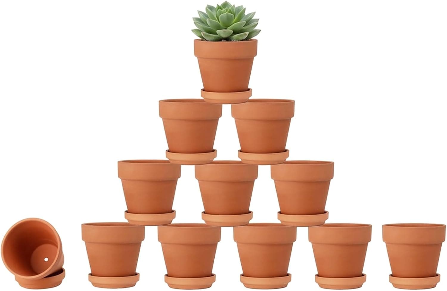 Riseuvo 3 Inch Terra Cotta Pots with Saucer - 12 Pack — Spring Gift Ideas gift idea