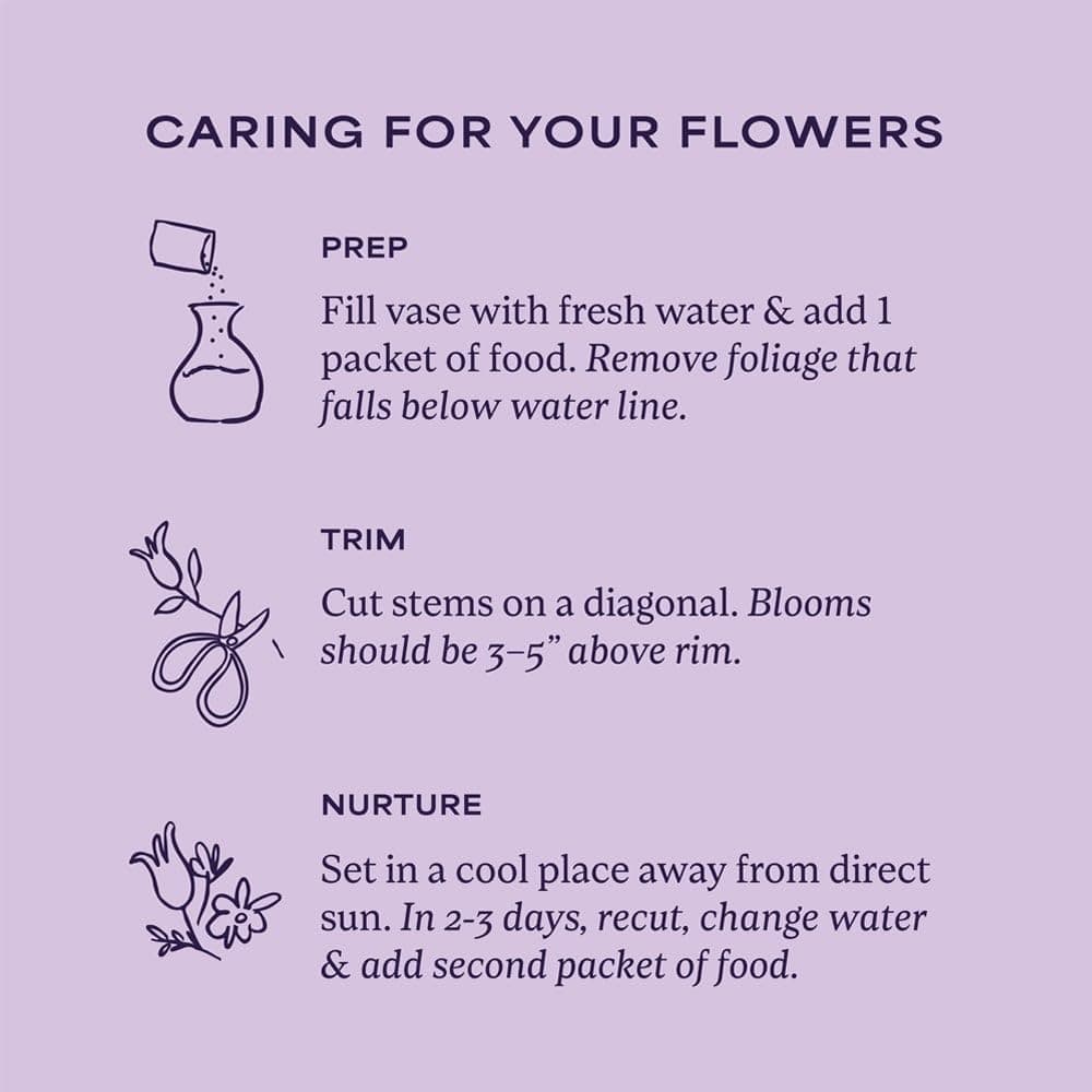 1800 Flowers – 12 Stem Red Roses Bouquet thumbnail 4