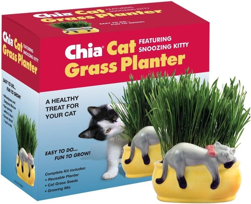 Chia Pet Kitty Cat Grass Planter image 1