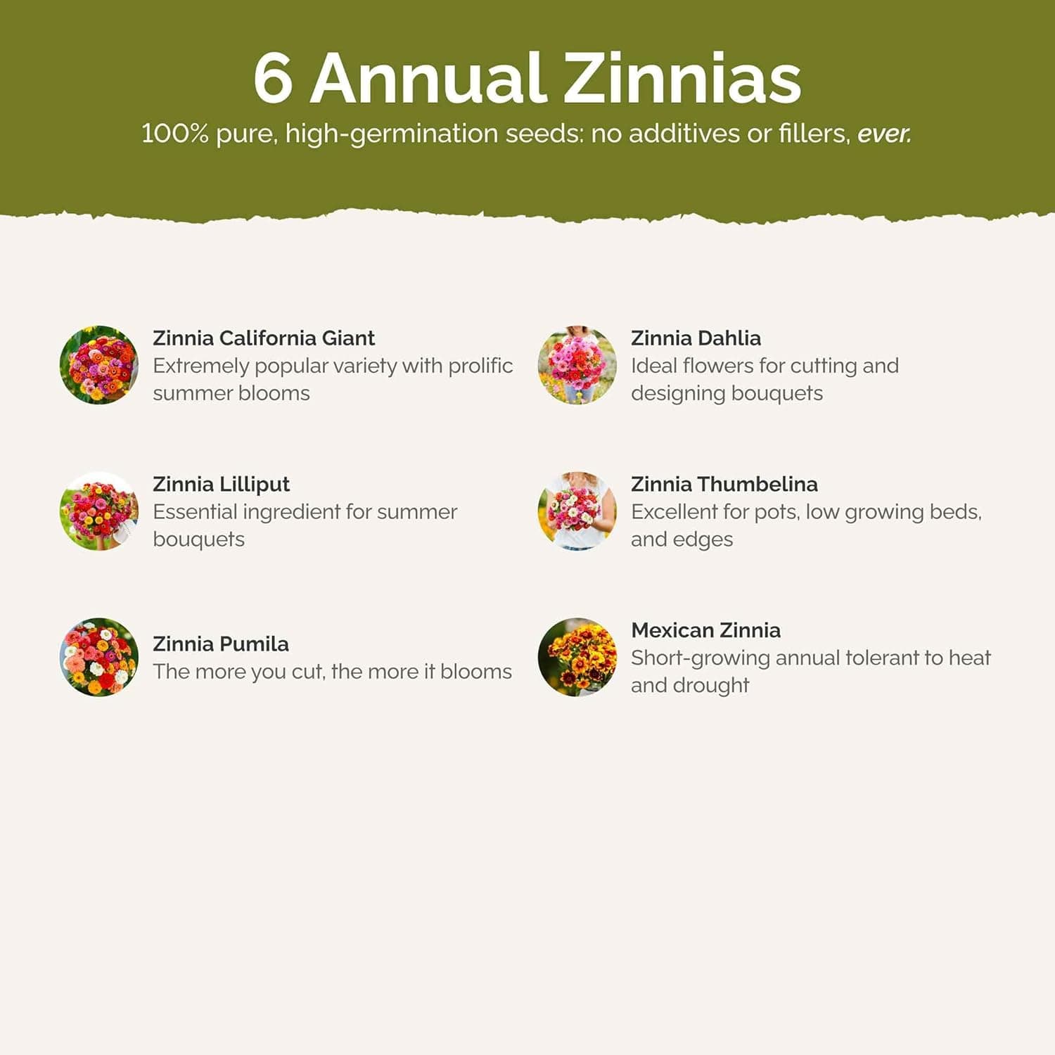 Eden Brothers Zin Master Flower Mixed Seeds for Planting thumbnail 4