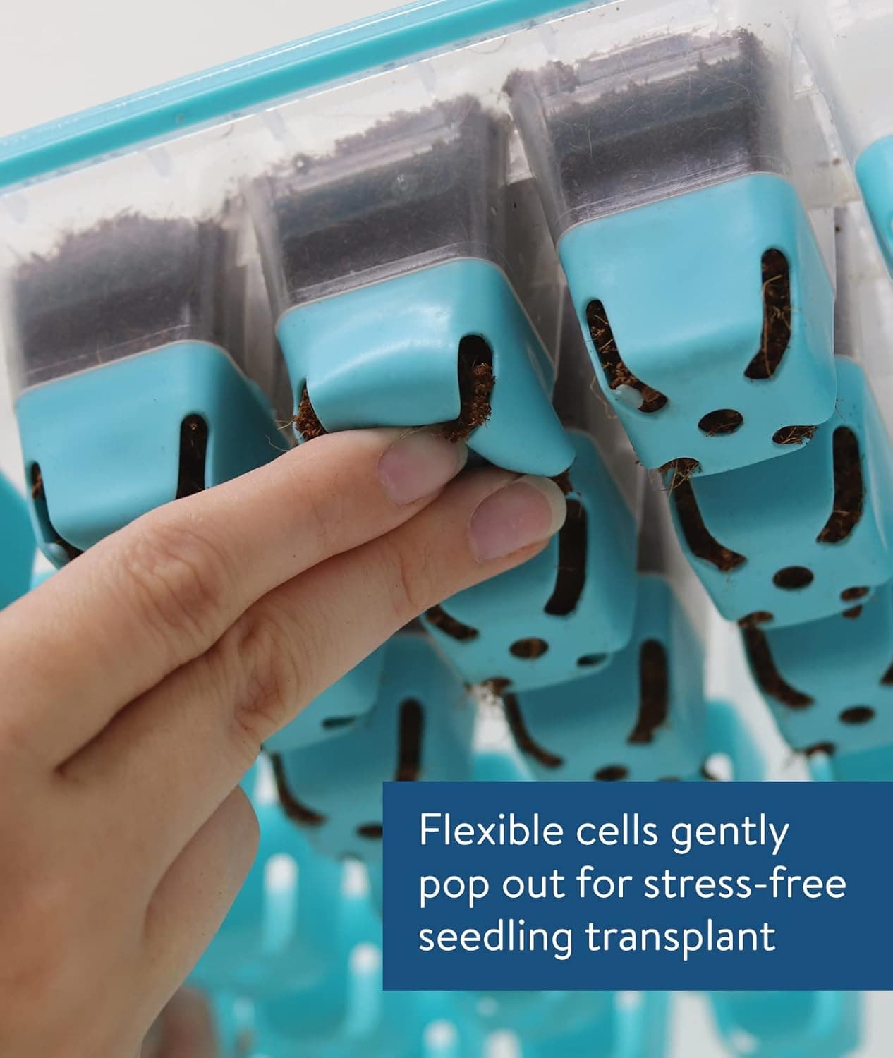 Burpee SuperSeed Seed Starting Tray | 36 Cell Reusable Seed Starter Tray | for Starting Vegetable, Flower &amp; Herb Seeds | Indoor Grow Kit for Plant Seedlings | for Germination Success : Patio, Lawn &amp; Garden thumbnail 2