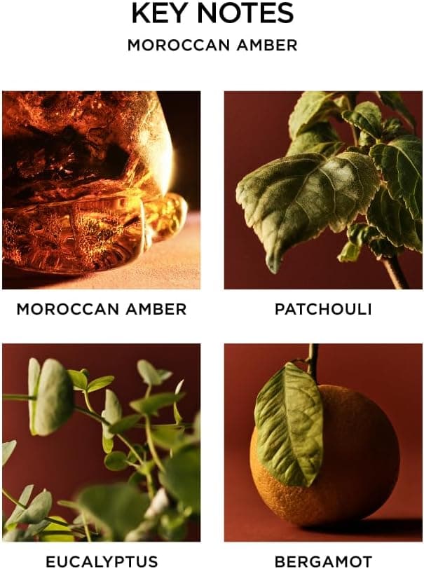 NEST New York Scented Classic Candle, Moroccan Amber - 8.1 oz - Up to 60-Hour Burn Time - Reusable Glass Vessel : Home &amp; Kitchen thumbnail 4