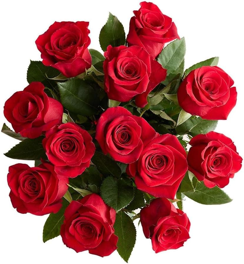 1800 Flowers – 12 Stem Red Roses Bouquet image 1