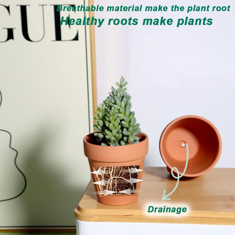 2.5 Inch Terracotta Pots - 12 Pack with Drainage thumbnail 4