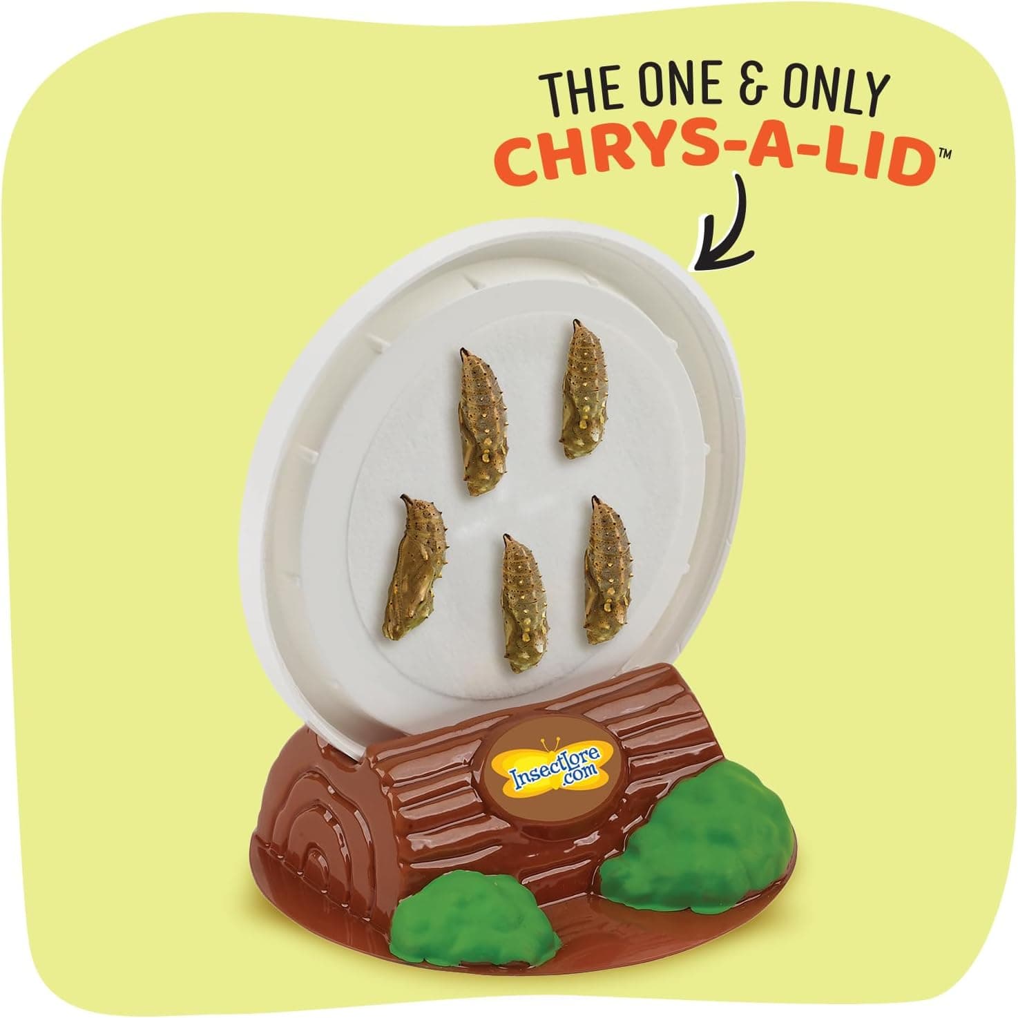 Insect Lore Butterfly Garden Kit thumbnail 5