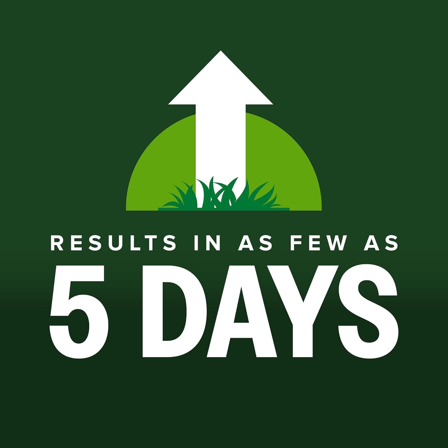 Scotts Kentucky 31 Grass Seed Mix - Premium Lawn Grass Seed, Covers Up to 5,000 sq. ft., 20 lb : Patio, Lawn &amp; Garden thumbnail 4