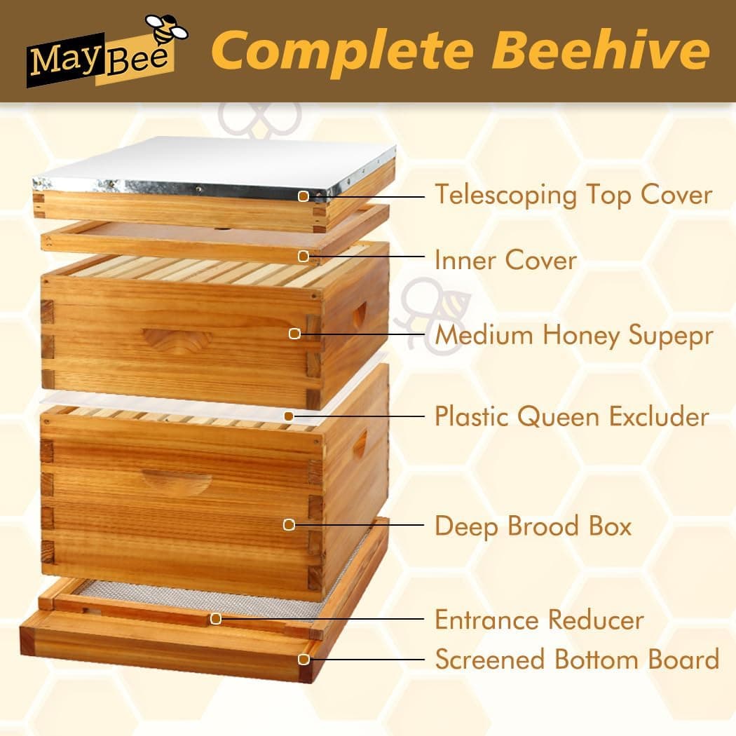 MayBee 10 Frame Screened Bottom Board Beehive Kit with Beeswax Coating thumbnail 5