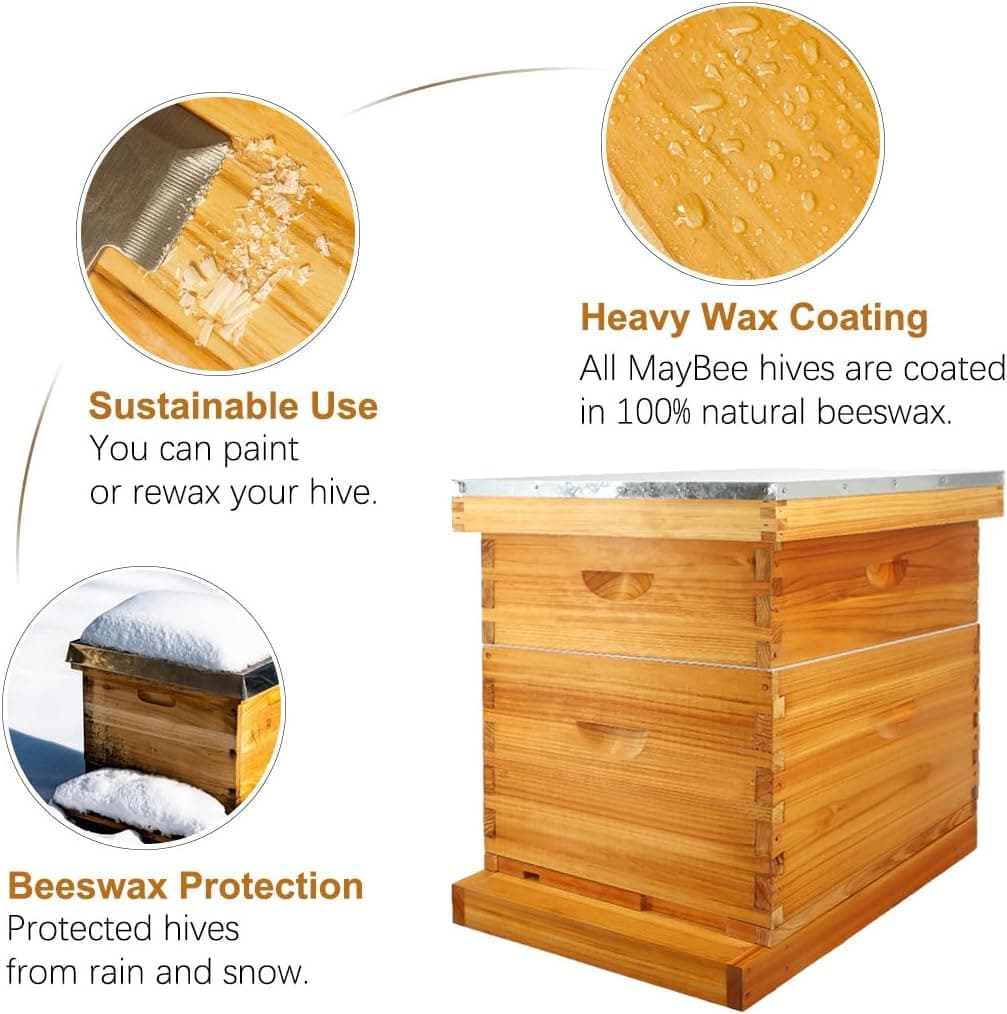 MayBee 10 Frame Screened Bottom Board Beehive Kit with Beeswax Coating thumbnail 3