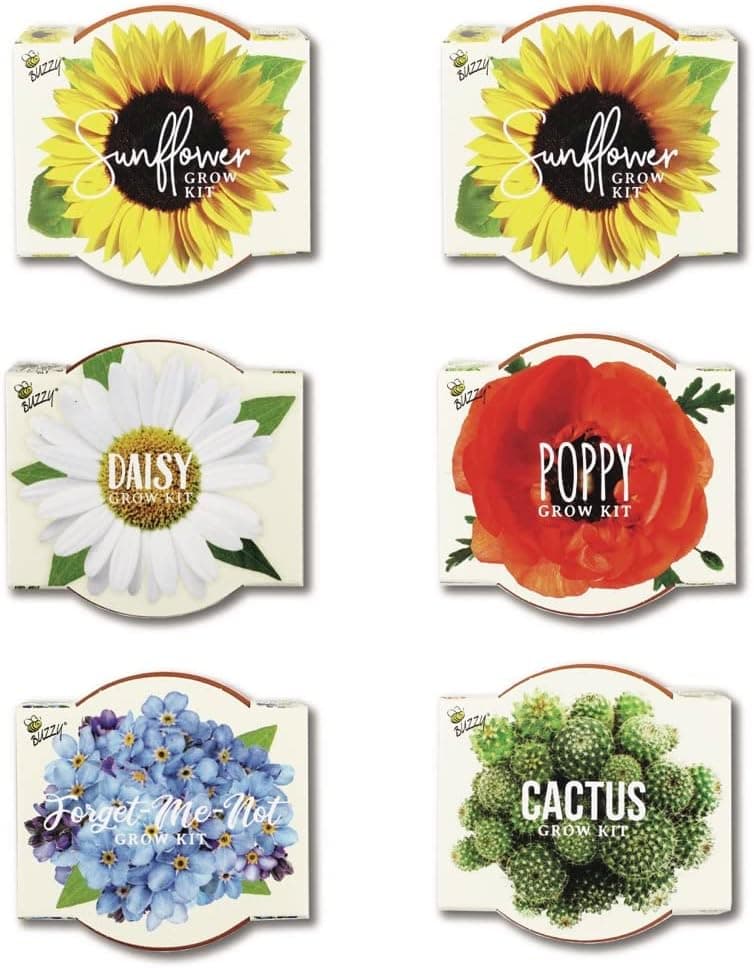 BUZZY Seeds Mini Terracotta Grow Pots Daydream Collection - 6 Pack Seed Starter Kit thumbnail 2