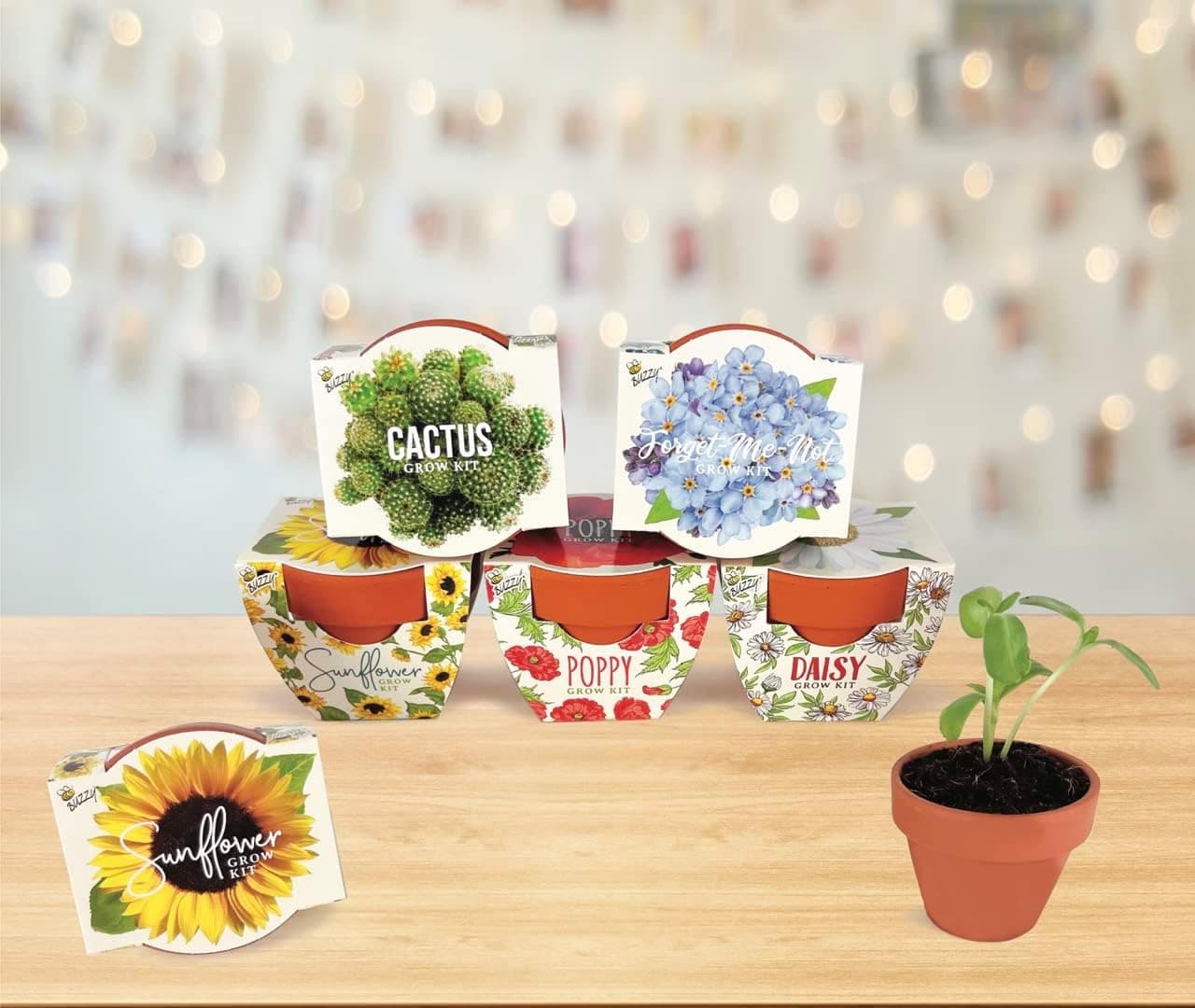BUZZY Seeds Mini Terracotta Grow Pots Daydream Collection - 6 Pack Seed Starter Kit thumbnail 5