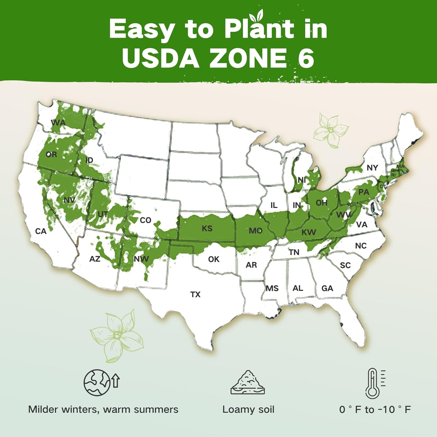 Lush&Dew Year-Round USDA Zone 6 Heirloom Survival Seed Kit - 32 Varieties, 30,000+ Seeds thumbnail 2