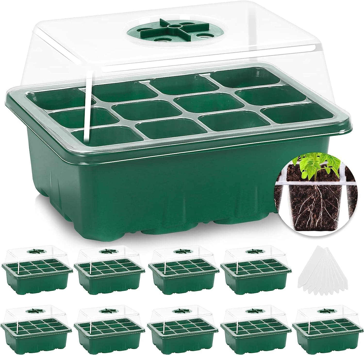 Easter Gardening Gift Ideas: Seed Starter Kit
