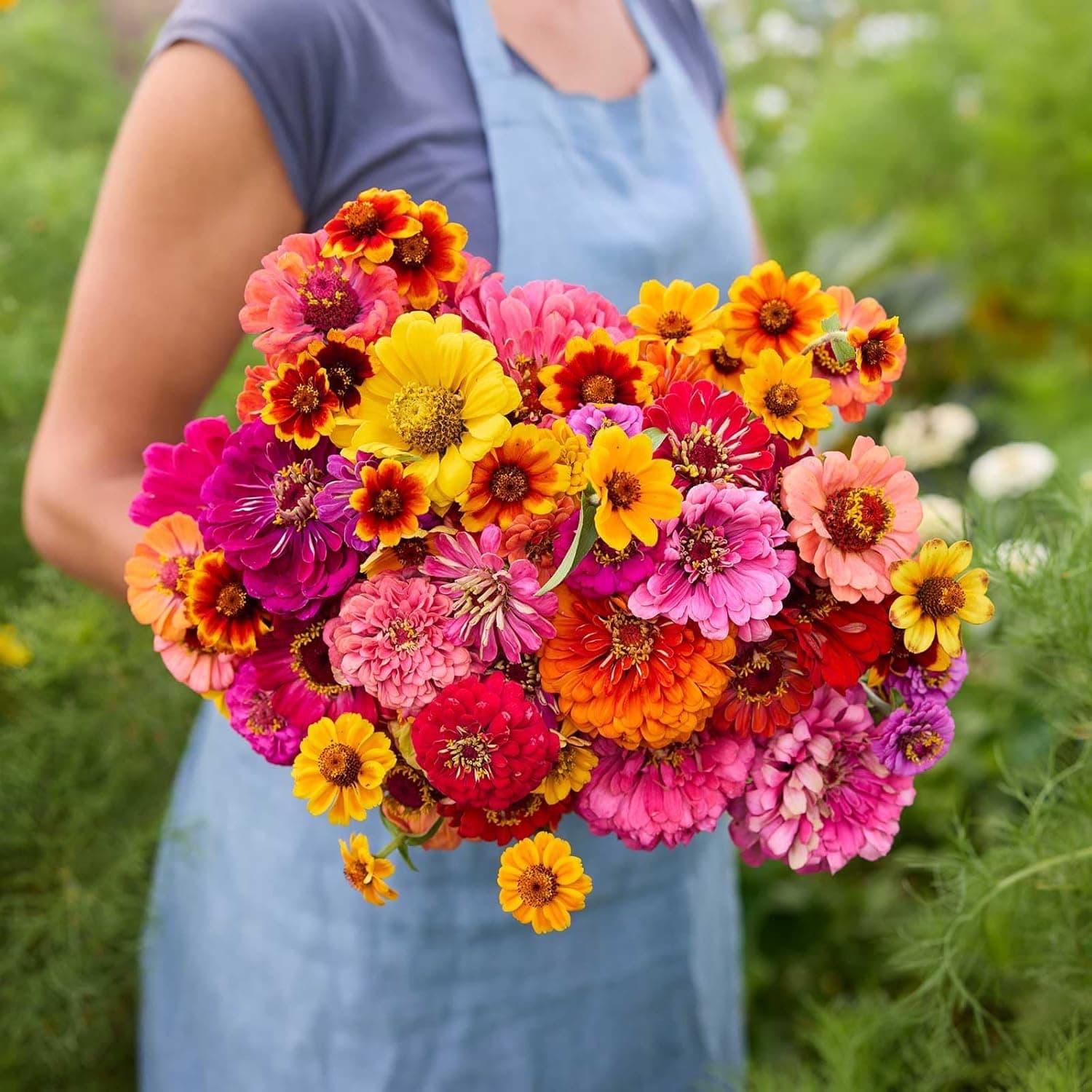 Eden Brothers Zin Master Flower Mixed Seeds for Planting image 1