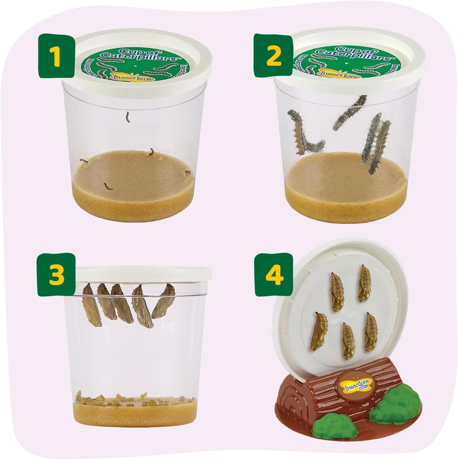 Insect Lore Butterfly Garden Kit thumbnail 2