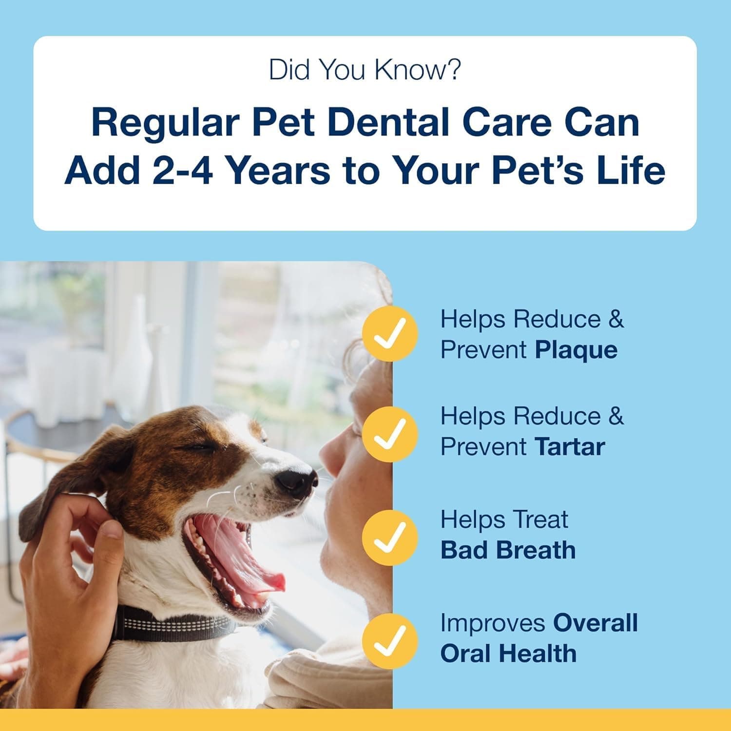 Proden PlaqueOff Dental Care for Dogs and Cats, 60gm thumbnail 3