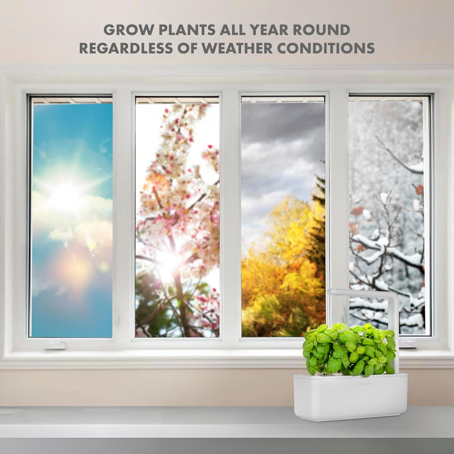Click & Grow Indoor Herb Garden Kit with Grow Light thumbnail 5