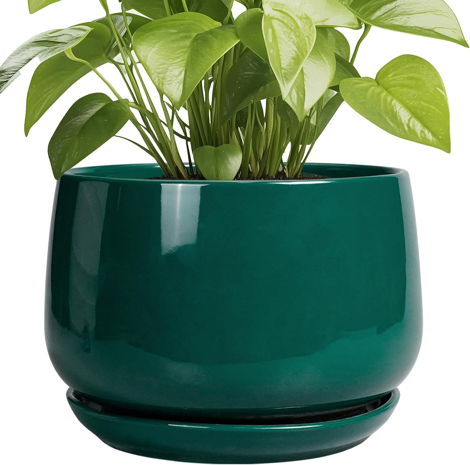 G EPGardening Ceramic Pots for Plants - 9 Inch Ceramic Planter for Indoor Plants, Round Planter with Drainage and Saucer, Modern Flower Pots for Outdoor, House Decor, Garden Gifts, Green : Everything Else image 1
