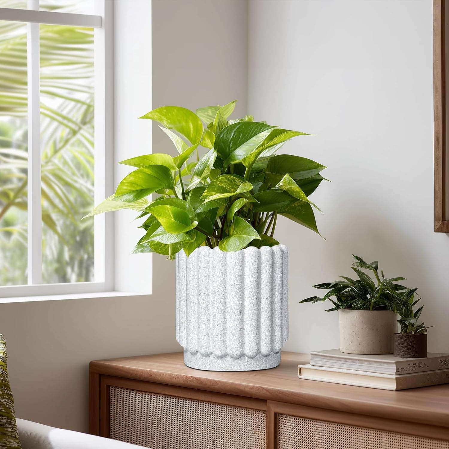 Ceramicfor Ceramic Planters for Indoor Plants - 7.6 Inch White Round Flower Pots with Drainage Hole thumbnail 2