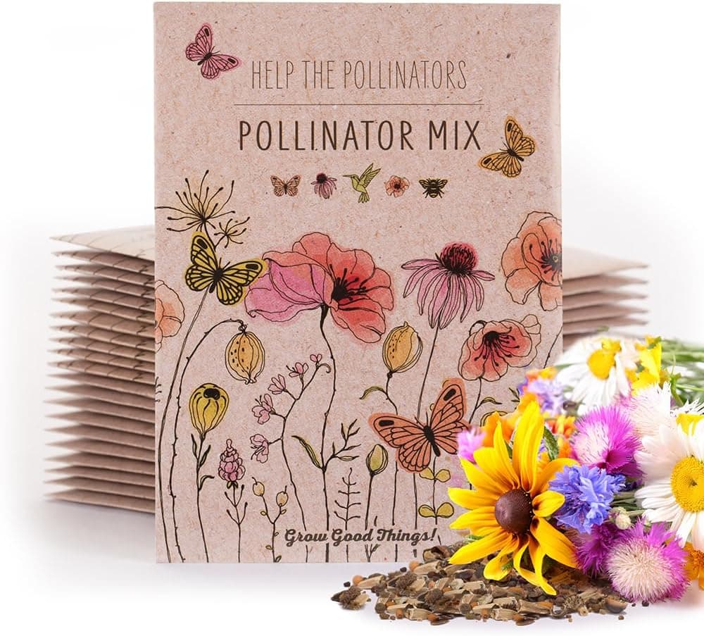 Bentley Pollinator Mix - Pre-Filled, Non-GMO, Non-Coated Butterfly Packets - 25 Annual Wildflower Seeds - Perfect Eco-Friendly Gift : Patio, Lawn &amp; Garden image 1