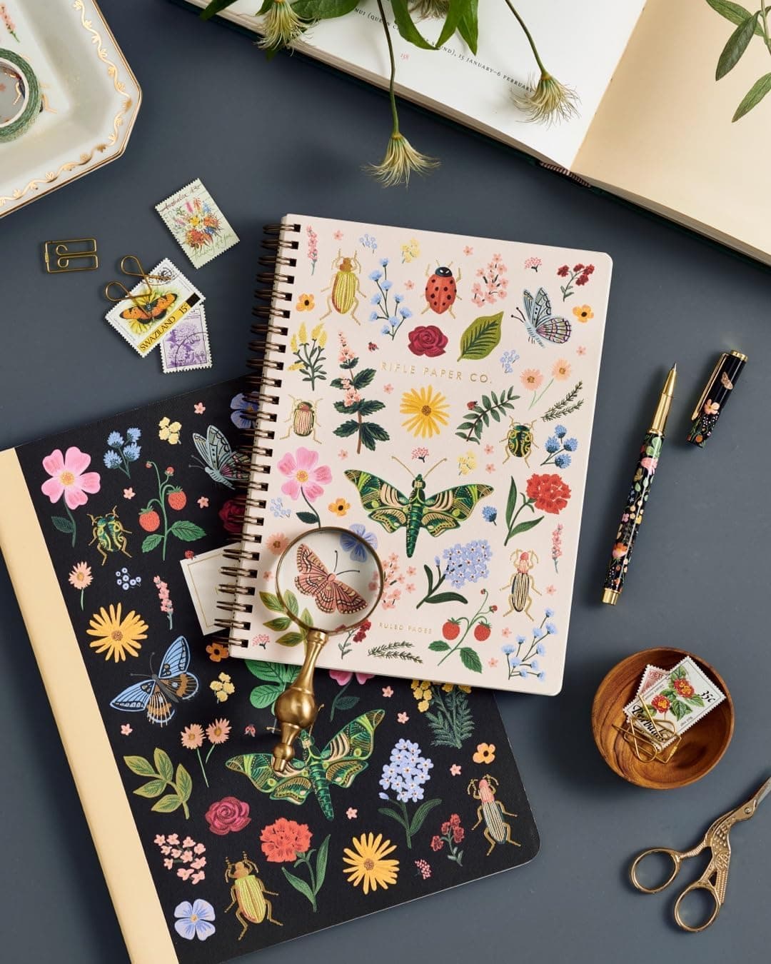 RIFLE PAPER CO. Spiral Notebook | 150 Ruled Pages, Inner Storage Pocket Folders, Double-Spiral Binding, Metallic Gold Foil Accents (8.25" L x 6.25" W), Curio : Office Products thumbnail 4