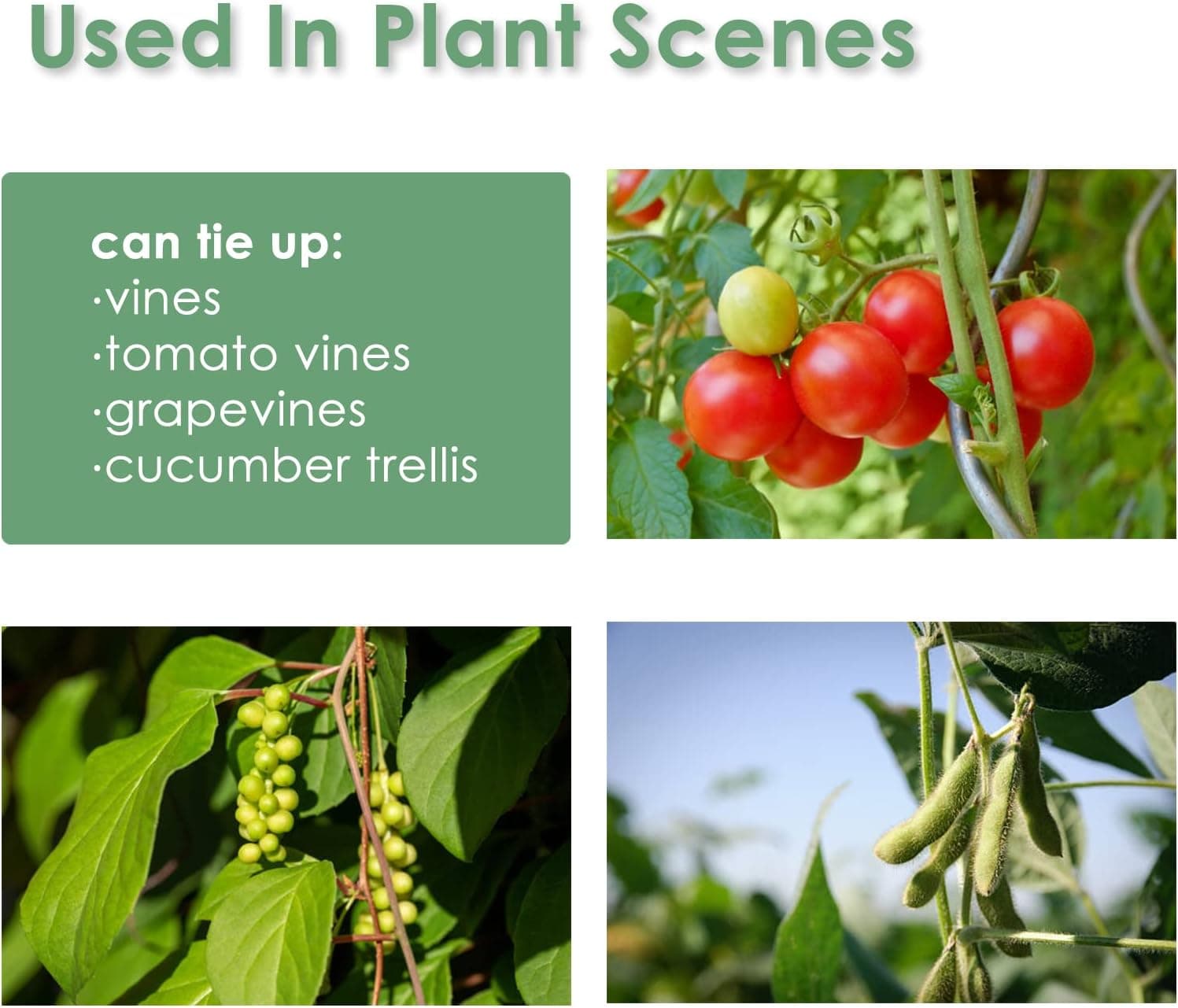 plantactic Garden Tie Green Tape - Plant Supports thumbnail 5