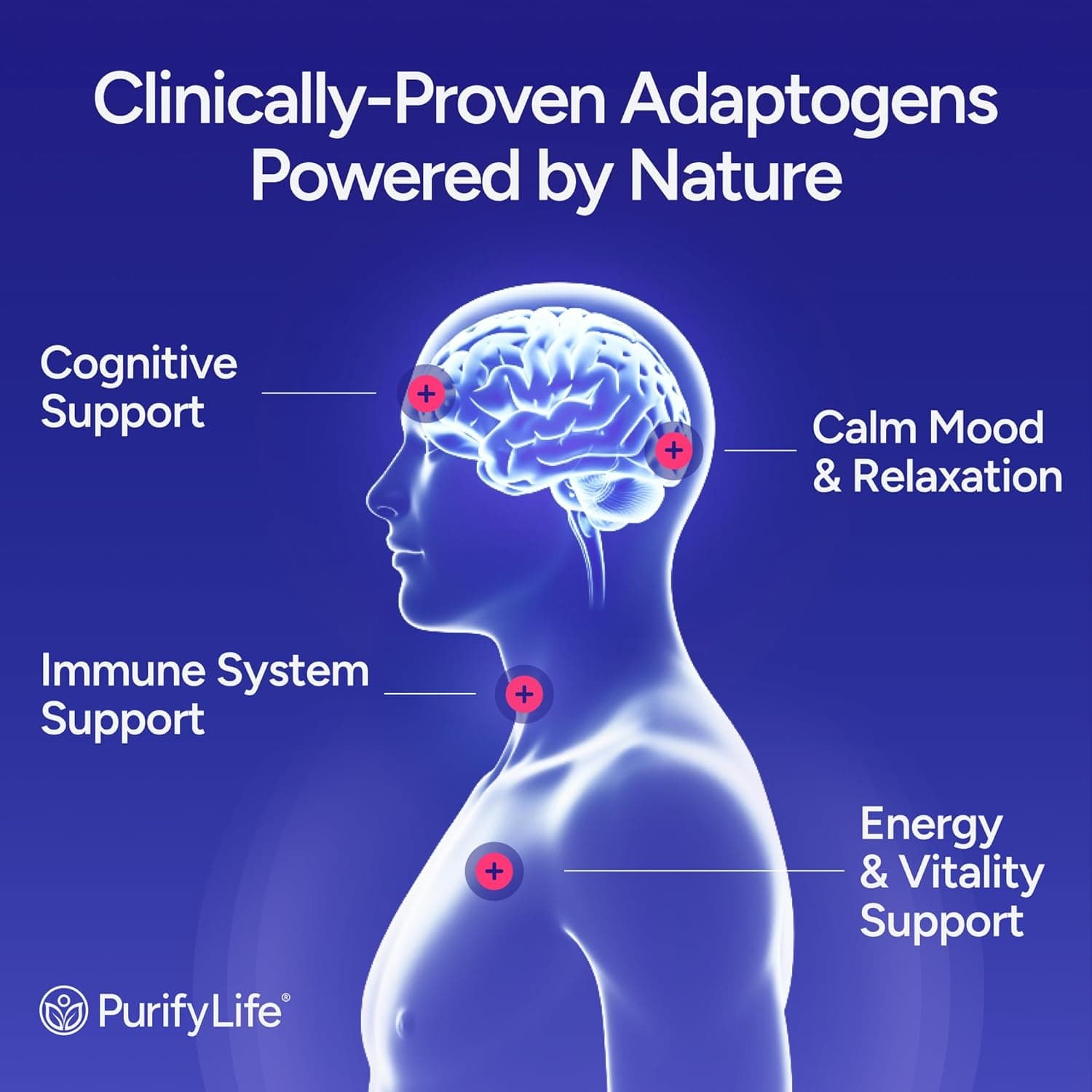 Sugar-Free Mushroom Gummies with KSM 66 Ashwagandha - Potent 10x Mushroom Supplement with Lions Mane, Chaga, Reishi, Mushroom Complex, Natural Stress Support, Calm Gummies, Nootropic Supplement : Health &amp; Household thumbnail 3