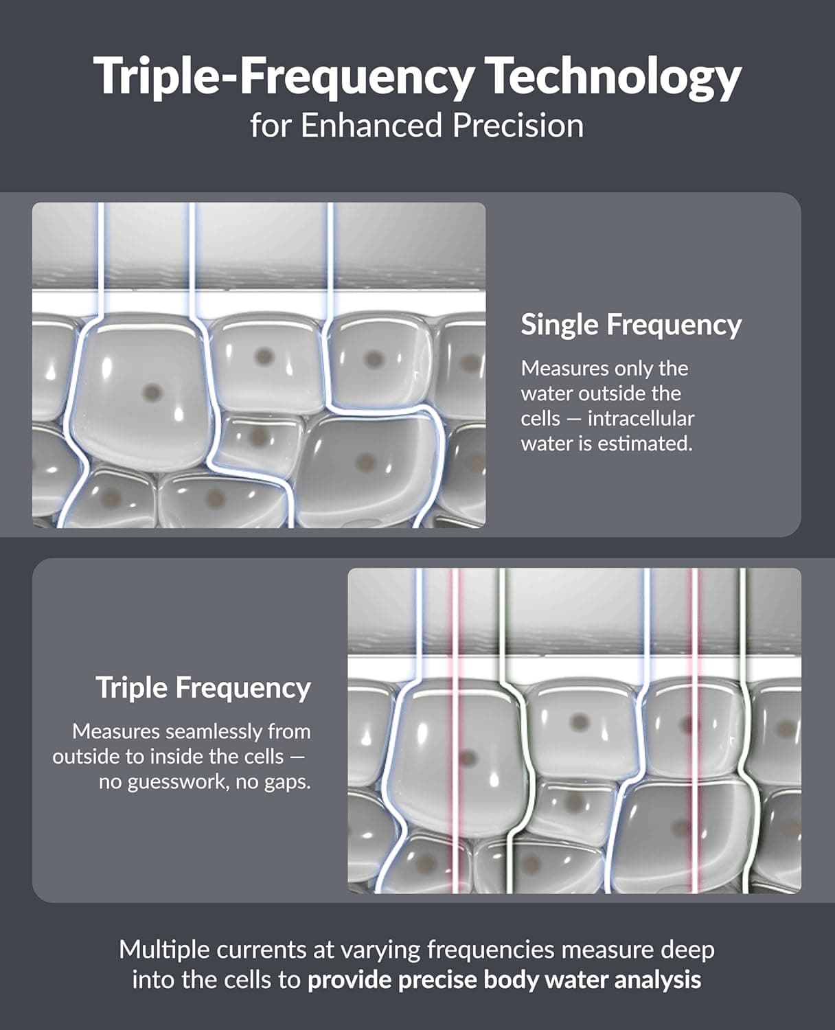 InBody Dial H30 Body Composition Scale thumbnail 4