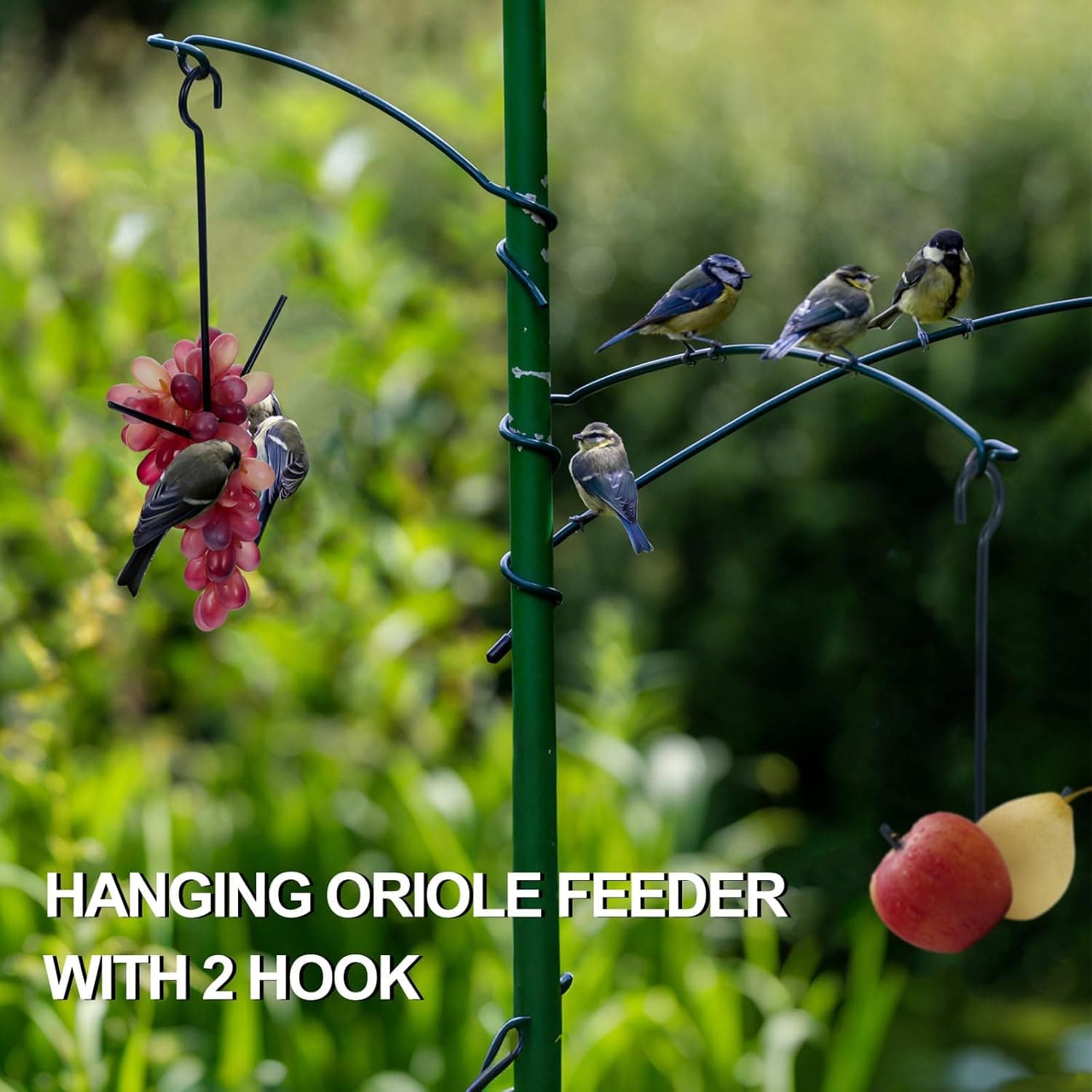 Zonon 2 Pack Oriole Bird Feeder with Hanging Hook thumbnail 3