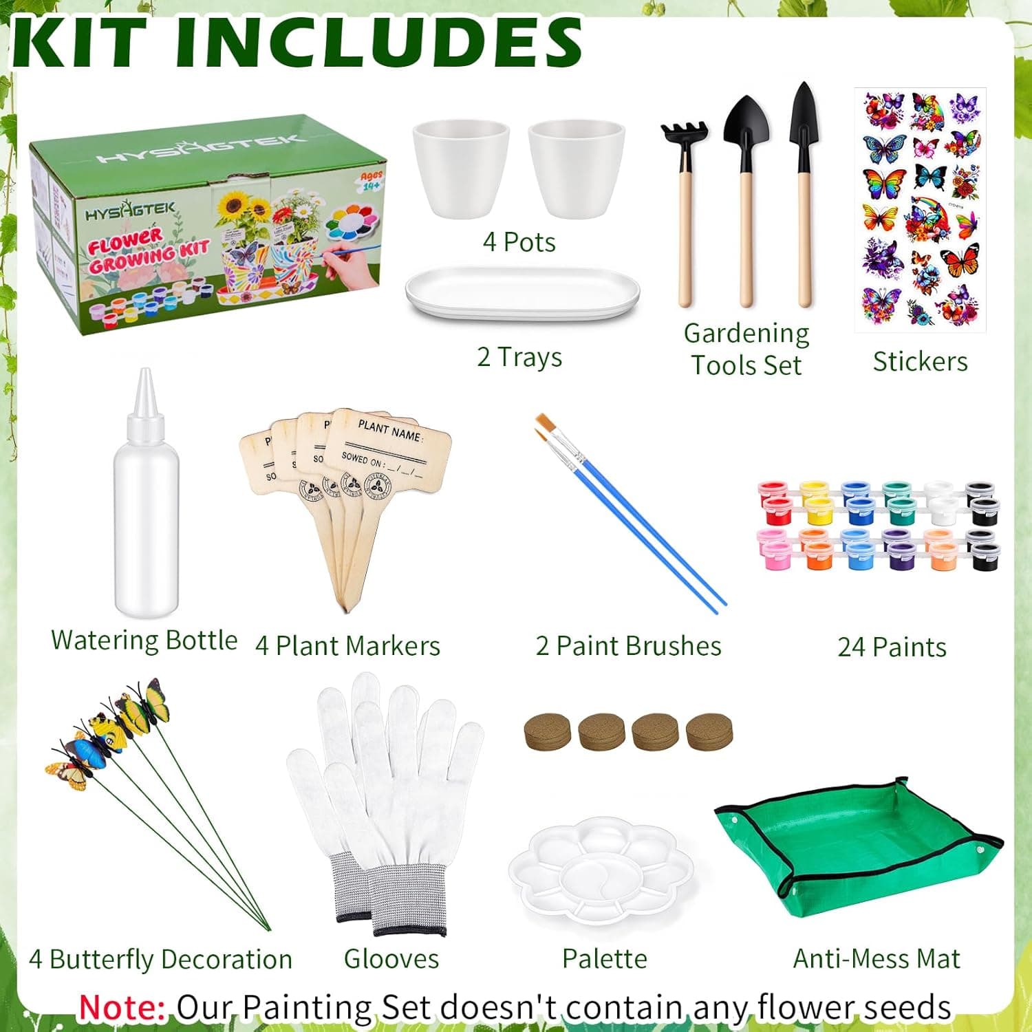 Hysagtek Paint & Plant Flower Growing Kit thumbnail 2