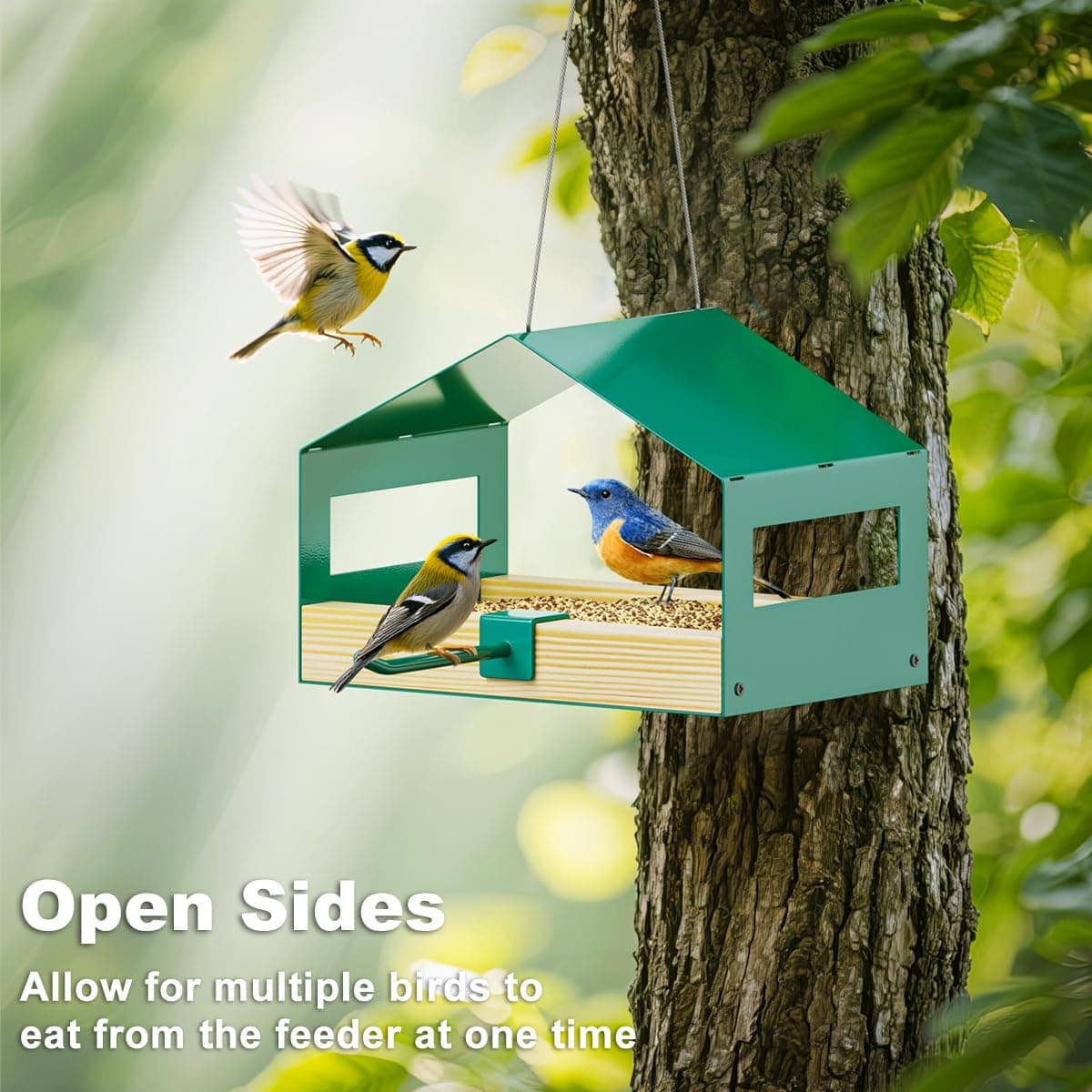 FANHAO Metal Bird Feeder for Outdoor Hanging thumbnail 2