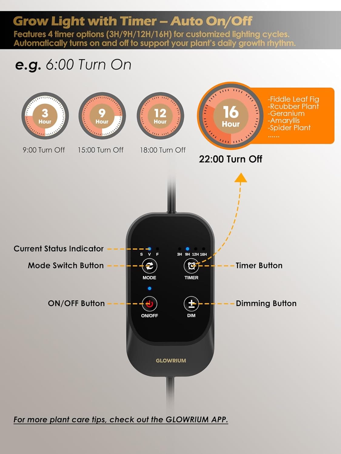 GLOWRIUM Full Spectrum LED Grow Light with Adjustable Height and Timer - 24W thumbnail 5