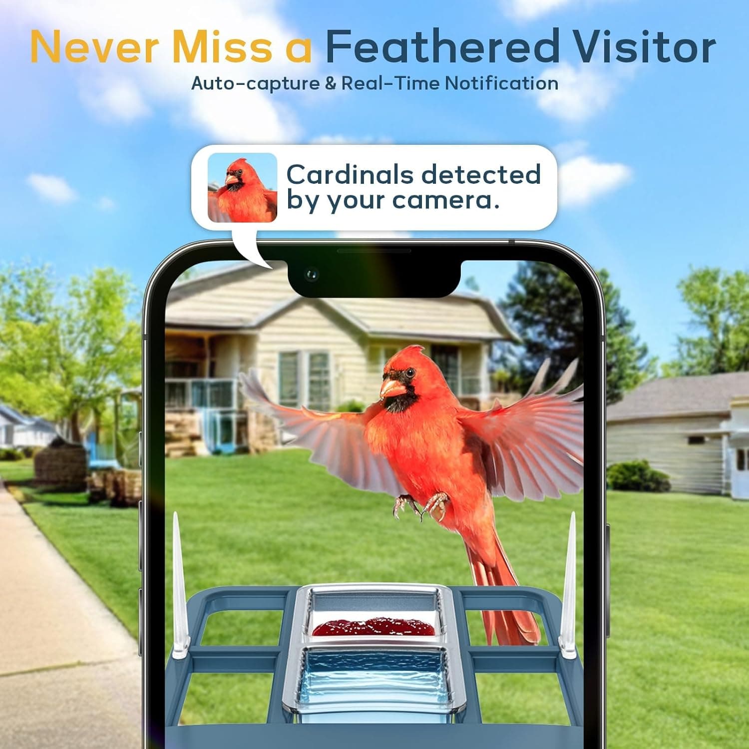 Bird Feeder with Camera,WiFi Outdoor Smart Bird Feeder Camera with Built-in AI Birds Recognition,Solar Powered,Auto Record Video by Cloud Storage,FHD Birds House with Cam,Ideal Gift for Dad and Mom : Patio, Lawn &amp; Garden thumbnail 3