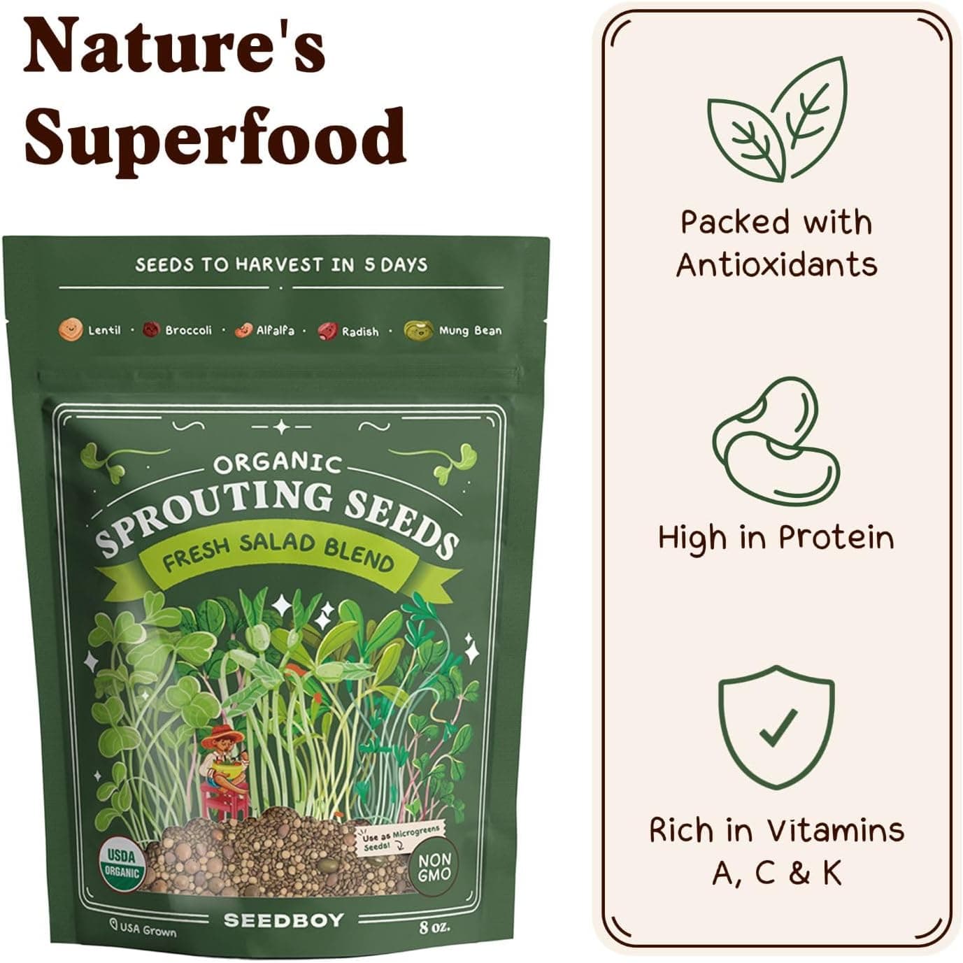Seedboy Organic Non-GMO Fresh Salad Blend Sprouting Seeds &amp; Kit – Includes Jar, Lid &amp; Stand – USA Grown Microgreens Mix – 8 oz Bag Makes 24 Servings (Sprouting Jar/Salad Blend) : Patio, Lawn &amp; Garden thumbnail 5