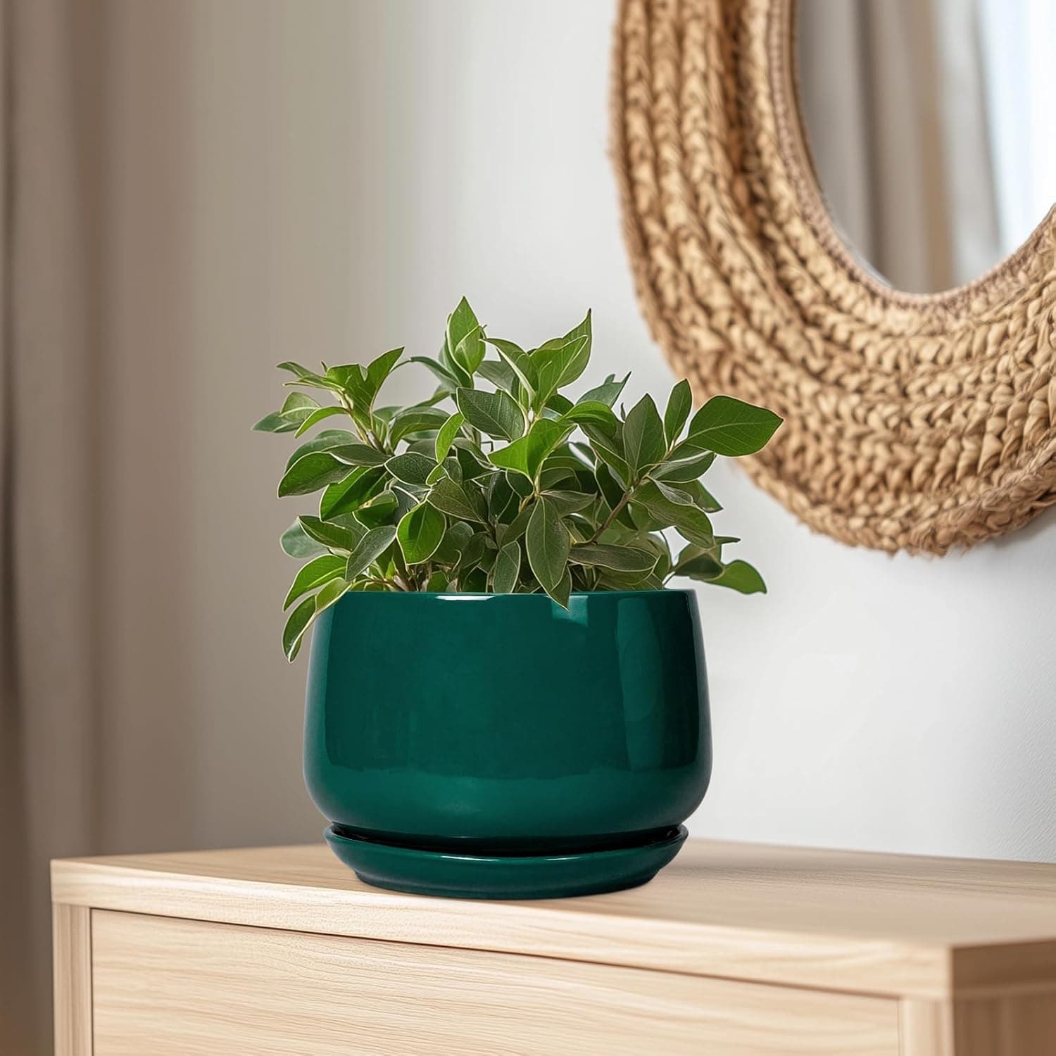 G EPGardening Ceramic Pots for Plants - 9 Inch Ceramic Planter for Indoor Plants, Round Planter with Drainage and Saucer, Modern Flower Pots for Outdoor, House Decor, Garden Gifts, Green : Everything Else thumbnail 5