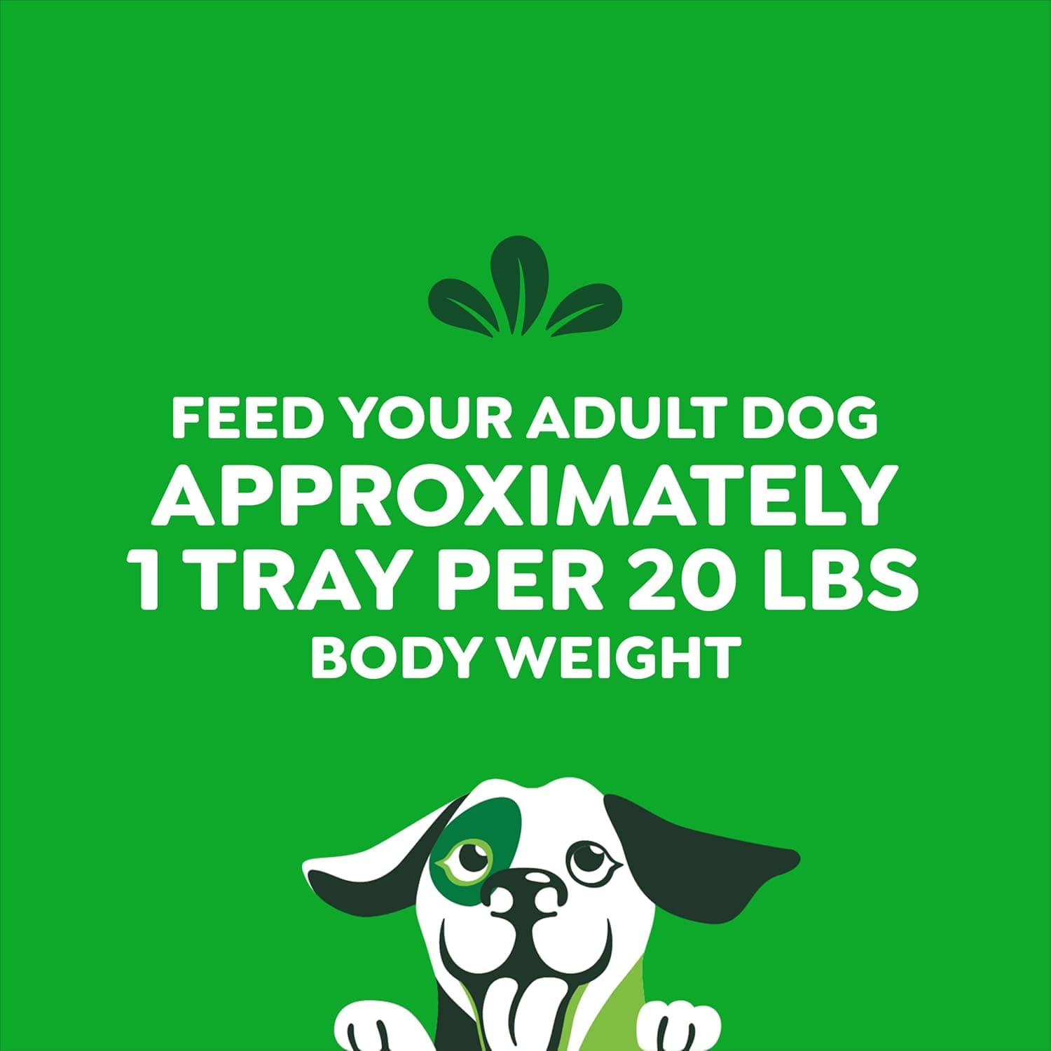 Greenies Smart Topper High Protein Wet Mix-in for Dogs, Chicken, Peas, Apples, and Brown Rice Recipe &amp; Duck, Broccoli, Carrots and Barley Recipe Variety Pack with Whole Grains, 8 Trays of 2 oz.: Pet Supplies: Amazon.com thumbnail 5