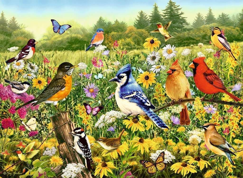 Ravensburger Birds in The Meadow 500 Piece Jigsaw Puzzle thumbnail 2