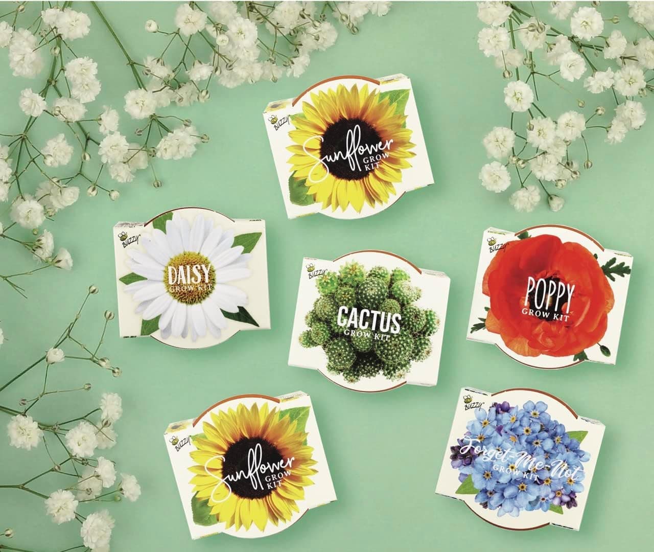 BUZZY Seeds Mini Terracotta Grow Pots Daydream Collection - 6 Pack Seed Starter Kit thumbnail 4