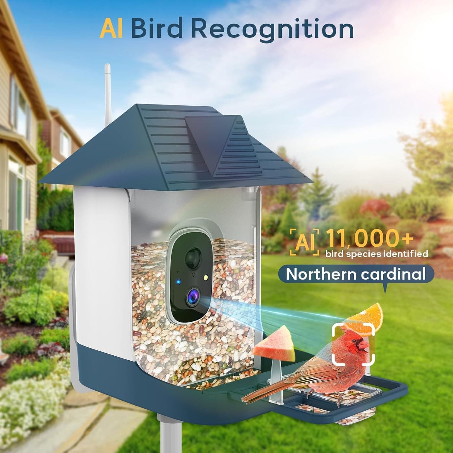 Bird Feeder with Camera,WiFi Outdoor Smart Bird Feeder Camera with Built-in AI Birds Recognition,Solar Powered,Auto Record Video by Cloud Storage,FHD Birds House with Cam,Ideal Gift for Dad and Mom : Patio, Lawn &amp; Garden thumbnail 4