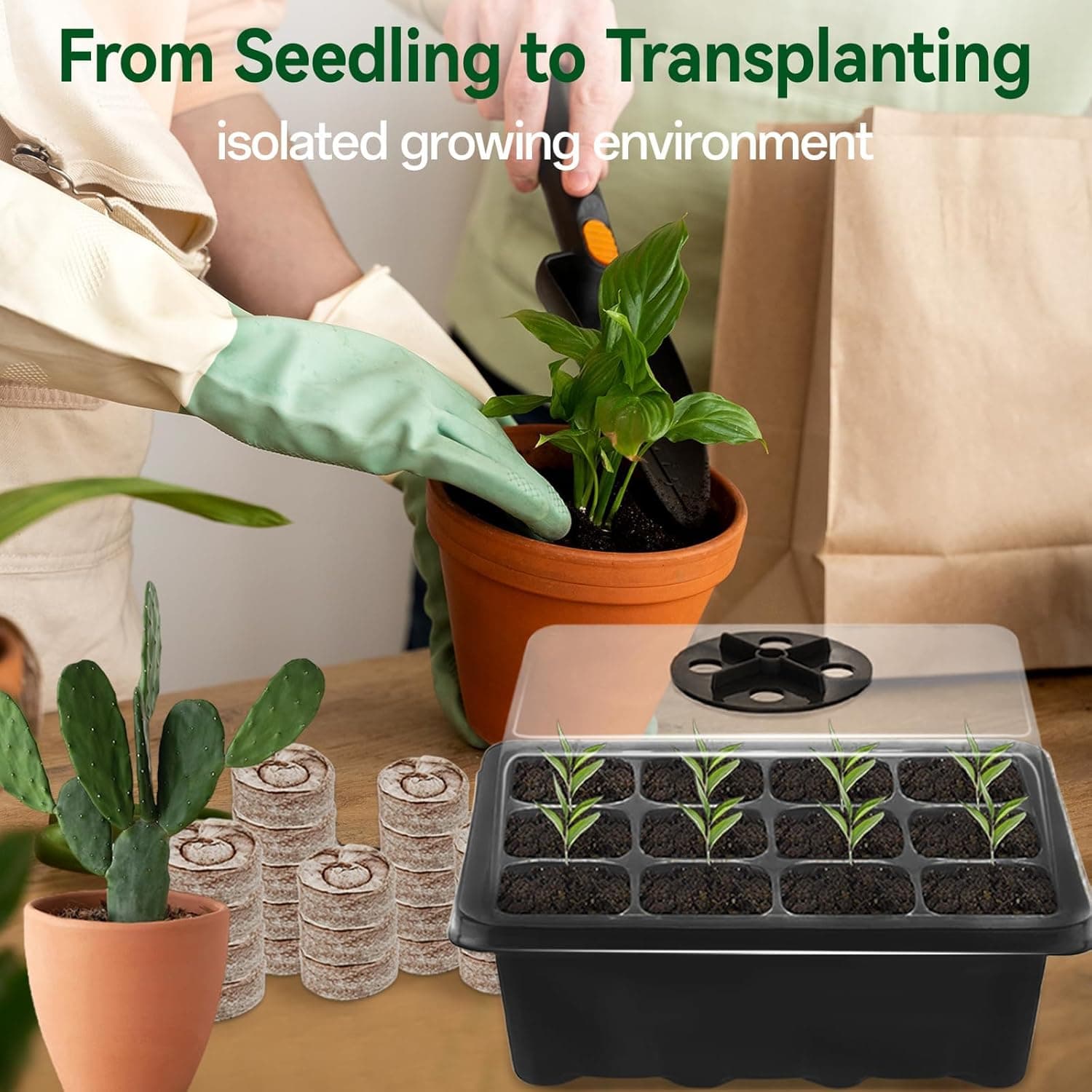 Halatool 4 Pack Seed Starter Tray Kit with 50 Peat Pellets thumbnail 4