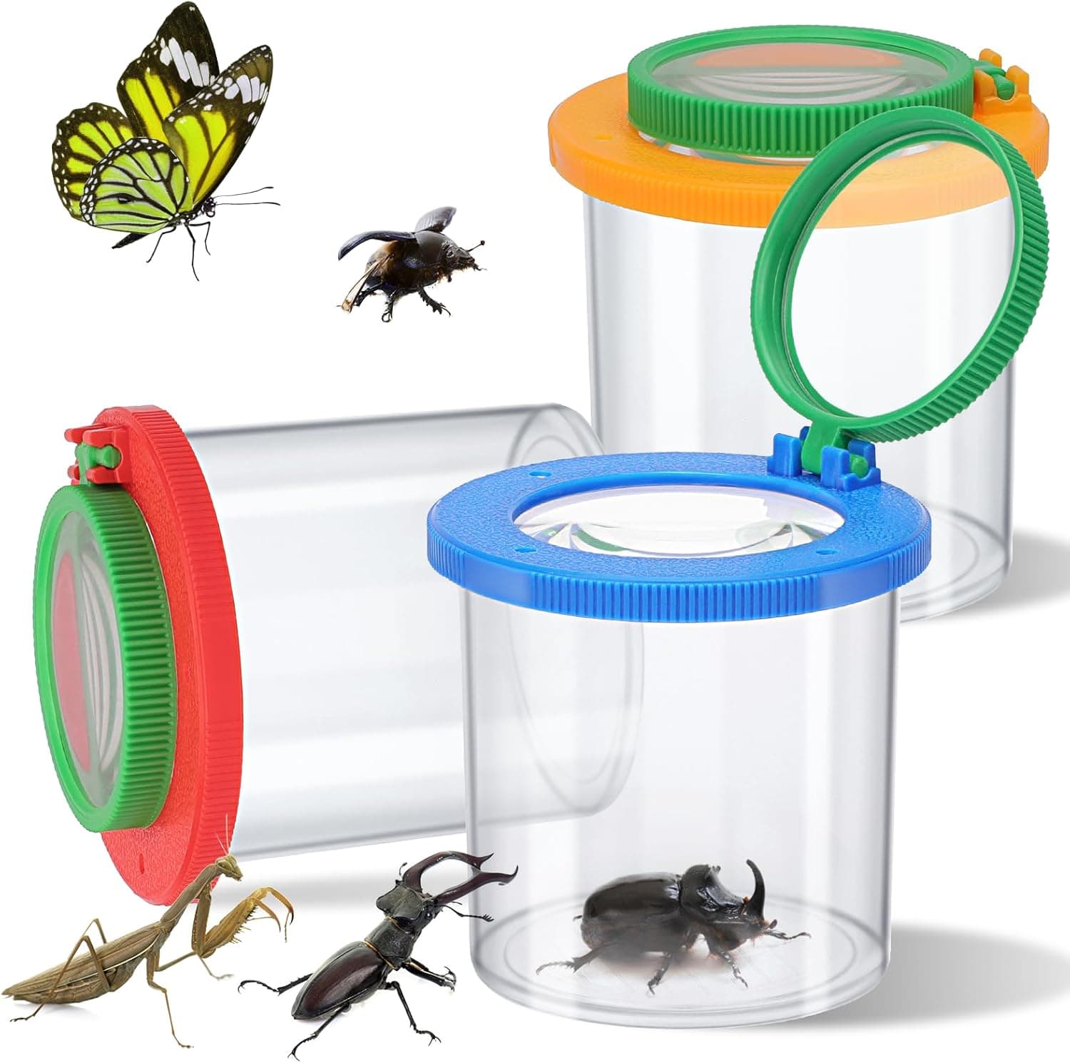 Coopay 3-Piece Magnifying Insect Box Kit image 1