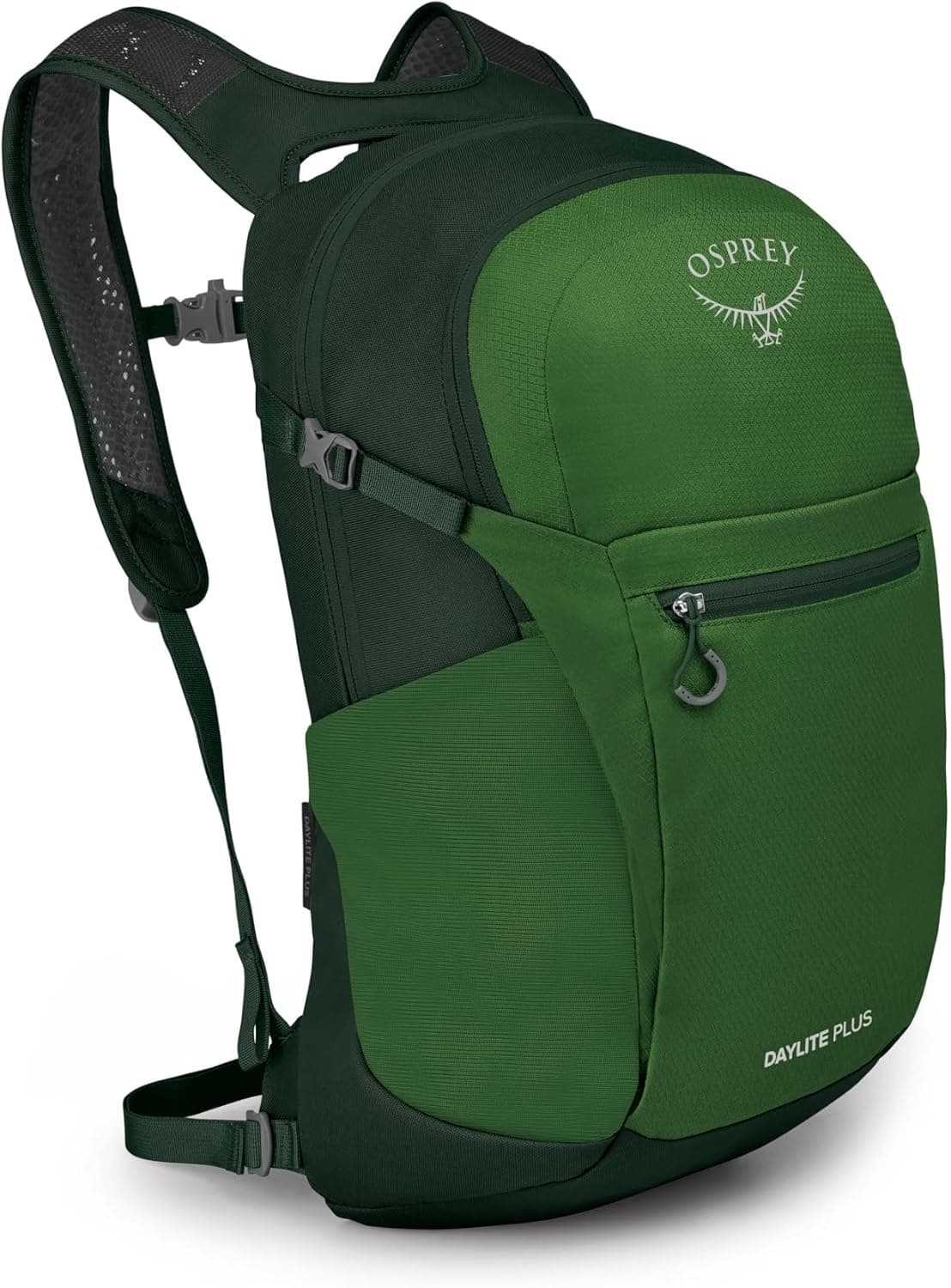 Osprey Daylite Plus Commuter Backpack - Lightweight, Everyday Pack with Laptop Sleeve and Water Bottle Pockets - Ideal for Work, School, and Travel with Versatile Storage, Green Belt/Green Canopy : Sports &amp; Outdoors image 1