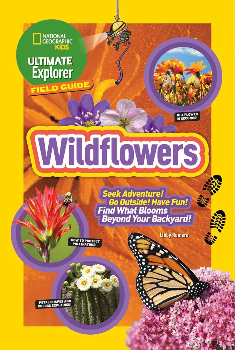 Ultimate Explorer Field Guide: Wildflowers — Spring Gift Ideas gift idea