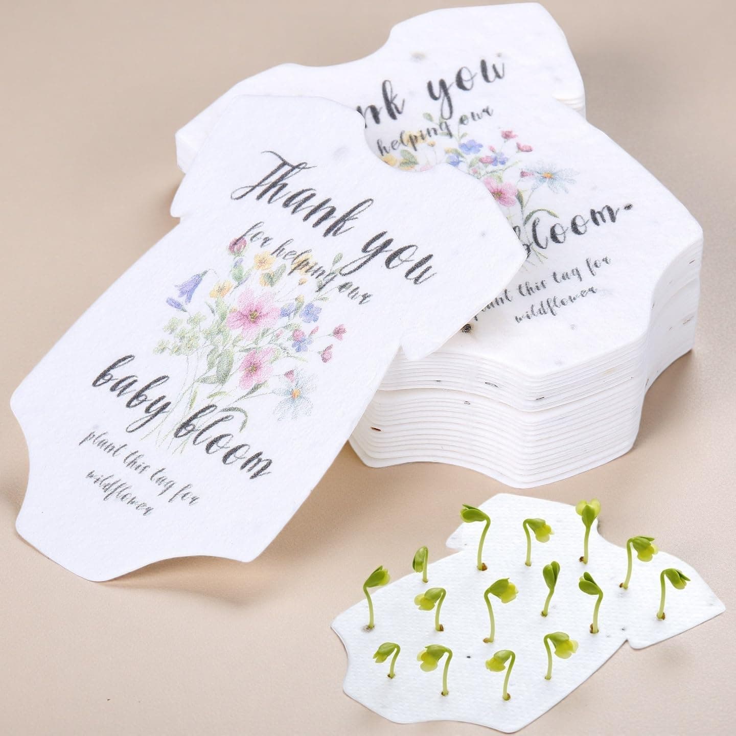 BuggyBeds Plantable Seed Paper Greeting Cards with Wildflower Seeds, 24 Pack — Spring Gift Ideas gift idea