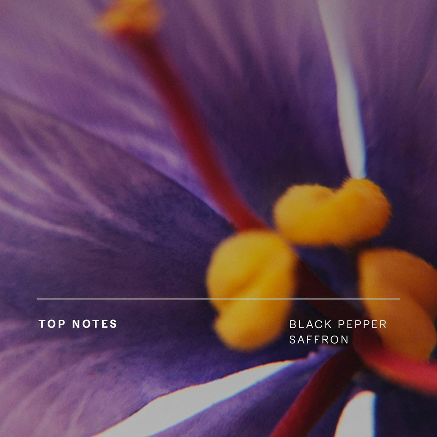 Future Society Haunted Rose Luxury Perfume &amp; Fragrance Primer Gift Set - Includes Eau de Parfum &amp; Optimal Habitat Fragrance Enhancing Primer and Extender - Beauty Gifts for Women : Beauty &amp; Personal Care thumbnail 5