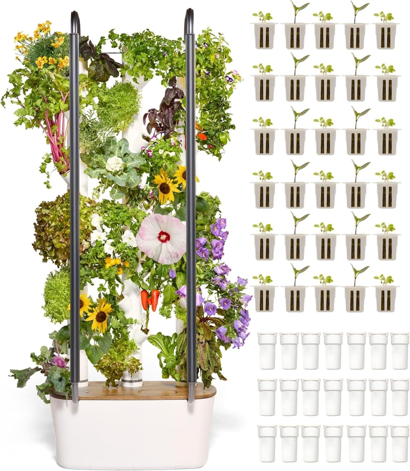 Gardyn Home 4 Vertical Hydroponics Growing System Kit - 30 Non-GMO Plants, Herbs, Vegetables - Smart Tower Garden Hydroponic Herb Garden Planter Indoor Kit - Indoor Gardening System w/LED Grow Lights : Patio, Lawn &amp; Garden — Spring Gift Ideas gift idea