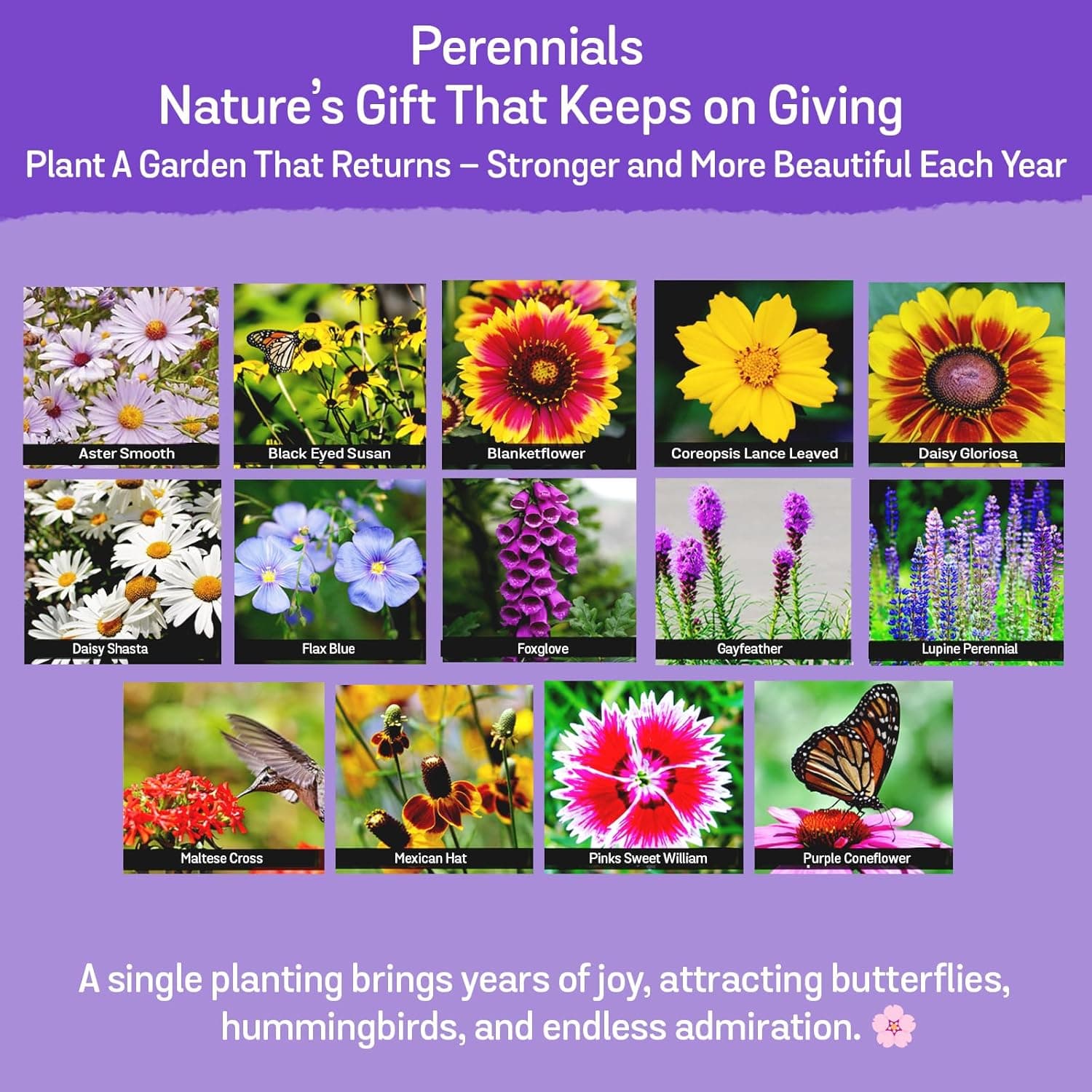 NatureZ Edge Wildflower Seeds - 35 Variety Mix (340,000 Seeds) thumbnail 4