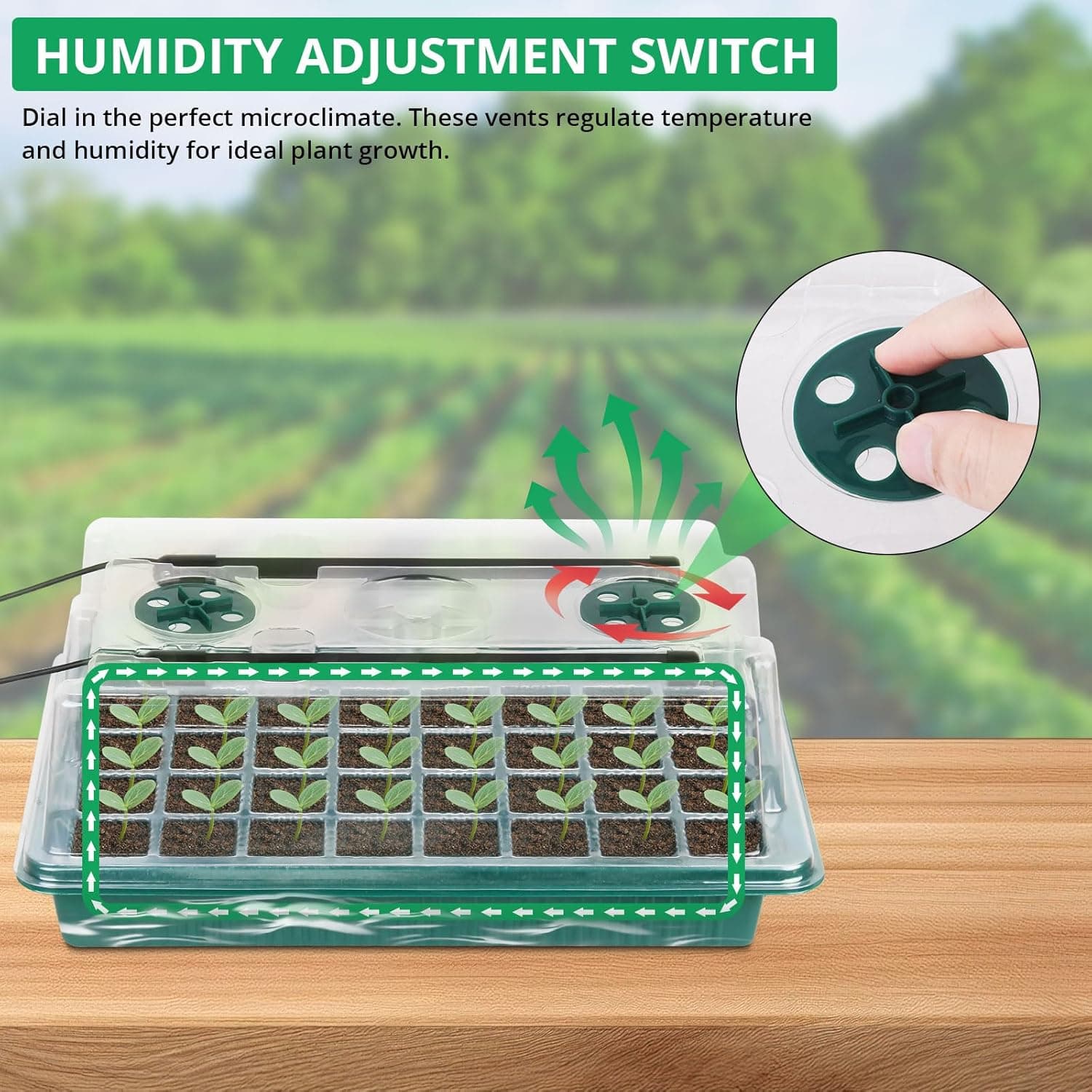 Sondiko Seed Starter Tray with Grow Light, 80 Cells Seed Starter Kit with Humidity Dome, Adjustable Brightness Plant Starter Trays, Indoor Plants Germination Kit(2 Pack) : Patio, Lawn &amp; Garden thumbnail 5