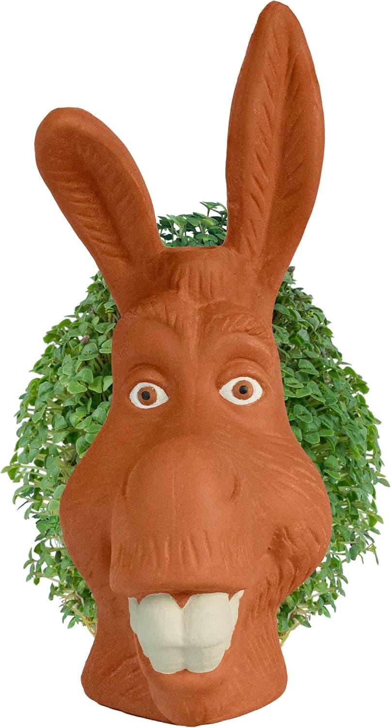 Chia Pet Donkey with Seed Pack thumbnail 3