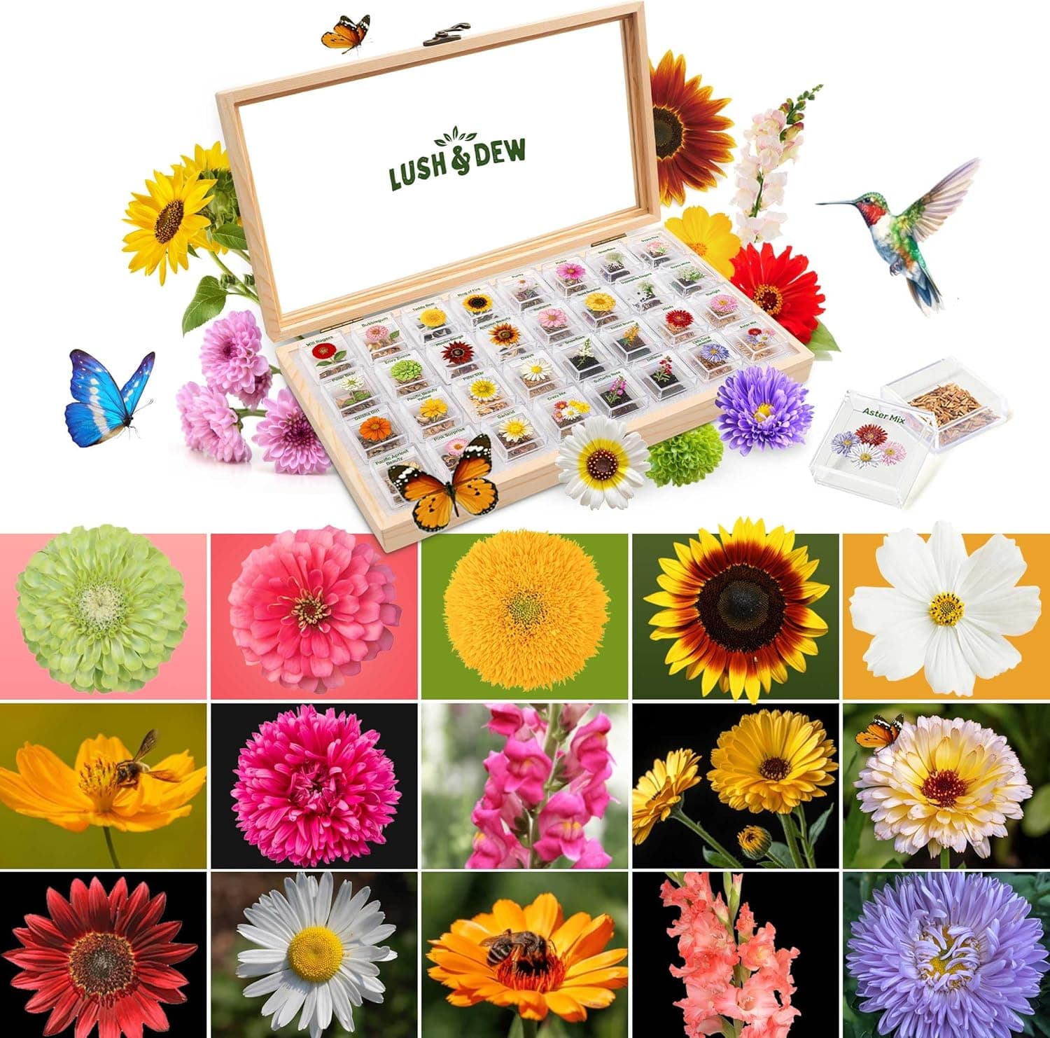 Lush & Dew Cut Flower Seed Bank - 32 Varieties Non-GMO Wildflower Seeds image 1